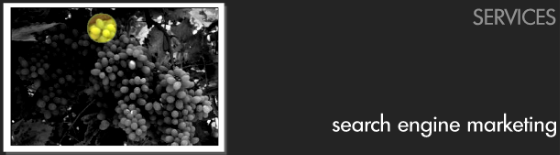 Search Engine Marketing Services
